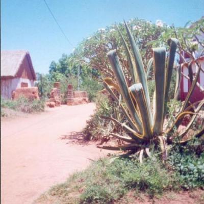 À l'entrée du village